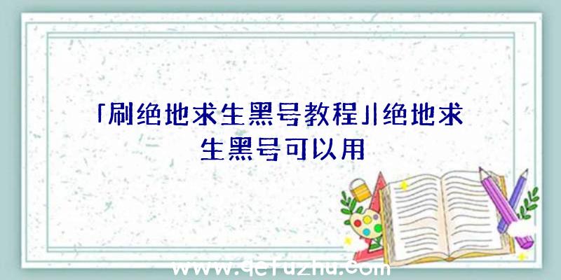 「刷绝地求生黑号教程」|绝地求生黑号可以用